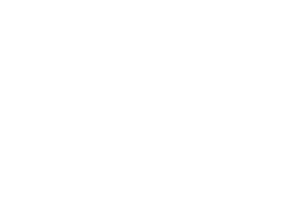 The Iberian